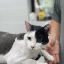 함께냥 대전점 이미지