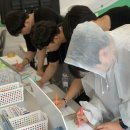 한국대학생선교회 이미지