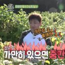 진우농장 이미지