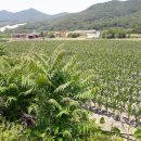 앙성면사무소 이미지