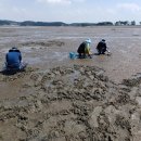 마검포레져하우스가족독채수영장 이미지