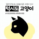 AMI PET 이미지