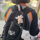 황보과학학원 | 너를 바라보다 잠이 들었는데