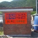 간판연구소 이미지