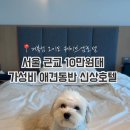 웨스트펫