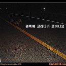 자개골캠핑장 이미지