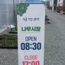 춘천시산림조합 | 춘천 산림조합 나무시장 방문기