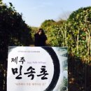 제주민속촌 이미지