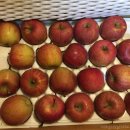 펜션비우고채우는숲 이미지