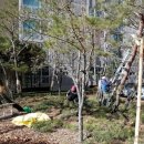 (주)수목조경 이미지