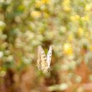 무진목욕탕 이미지