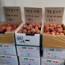 세교착한과일
