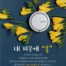 수니피부샵