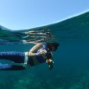 제주푸른바당