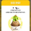 오늘의 집 | 오늘의가든 스타벅스 커피 기프티콘 후기 앱테크