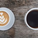 체리콩커피 이미지