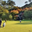 센테리움CC[금강센테리움(주)] 이미지
