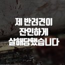 (사진주의) 잃어버린 반려견 토순이를 잔혹하게 살해 후 박수까지 친 싸이코패스 신상 공개됐긔! 이미지