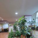 사주체육관 | 전주 사주 / 타로 잘보는곳 ) 마이다스사주카페