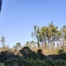 구억공인중개사사무소 이미지