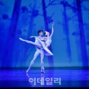 수원발레축제 이미지