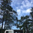 숲들내캠핑장 이미지