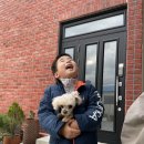 도그 아꼬아 이미지