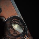 새마을낚시터 이미지