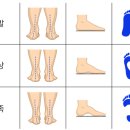 복싱 사관학교 이미지