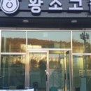 황소고집 이미지