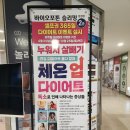 바이오포톤 문정점:: 문정 전신 다이어트 후기
