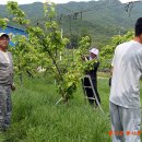 칠봉산 농장 이미지