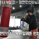 앨바트로휘트니스 이미지