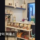 댕냥이 미용소 네이버블로그