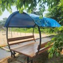 초촌초등학교 이미지