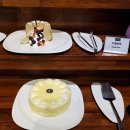 트리제이 더 테라스 이미지