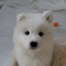 제이제이피부과의원 이미지