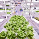 상인3동행정복지센터 이미지