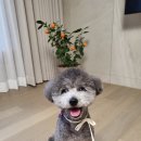 아토,사랑스러워 이미지