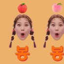 젤리봉봉
