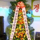 월벽타운 이미지