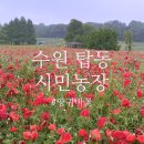 세류농장 이미지