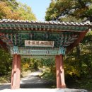 (주)고고여행사