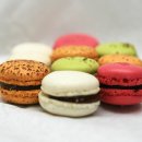 비비드마카롱 이미지