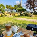 워킹타우너(WALKING TOWNER) 이미지