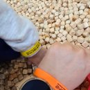 성산동고분군전시관 화장실 | 대구근교 아기랑가볼만한곳 성주 성산동고분군전시관 어린이체험관 솔직후기