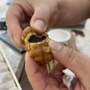 간선-69 | [복호두 강동상일점 방문기] 천호호두정과부터 답례품까지! 돌잔치·미사·승진·조의 선물, 아이들간식...