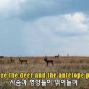 Connie Francis - Home On The Range 이미지