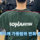 소마피트-인