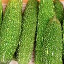 여주-0365 이미지